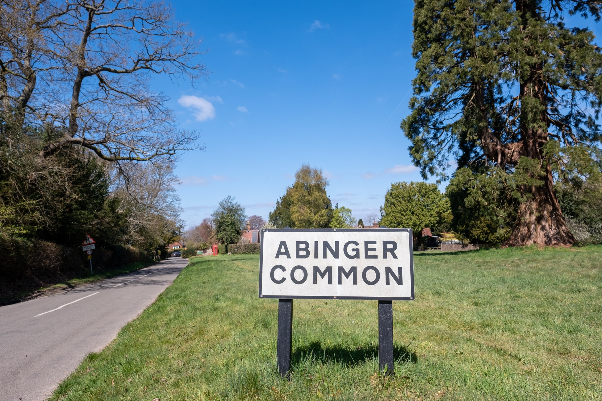 Mobile vet for horses Abinger Common